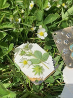 Mini Flower Press, 35 × 50 mm, Silver Sheet and Brass Details