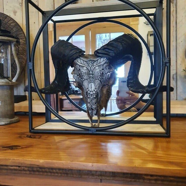 Carved Resin Ram Skull with Removable Horns, 20cm Wide