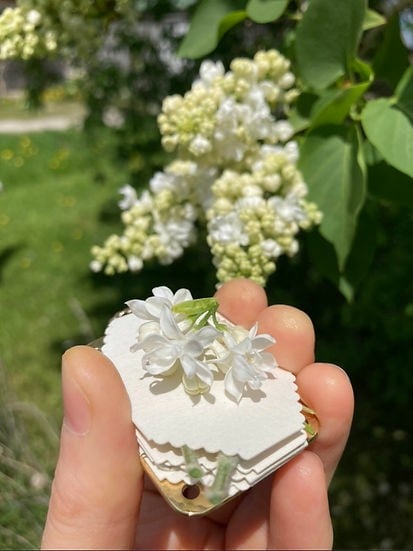 Mini Flower Press, 35 × 50 mm, Silver Sheet and Brass Details