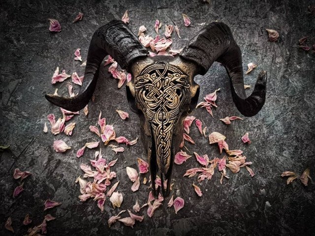 Carved Resin Ram Skull with Removable Horns, 20cm Wide