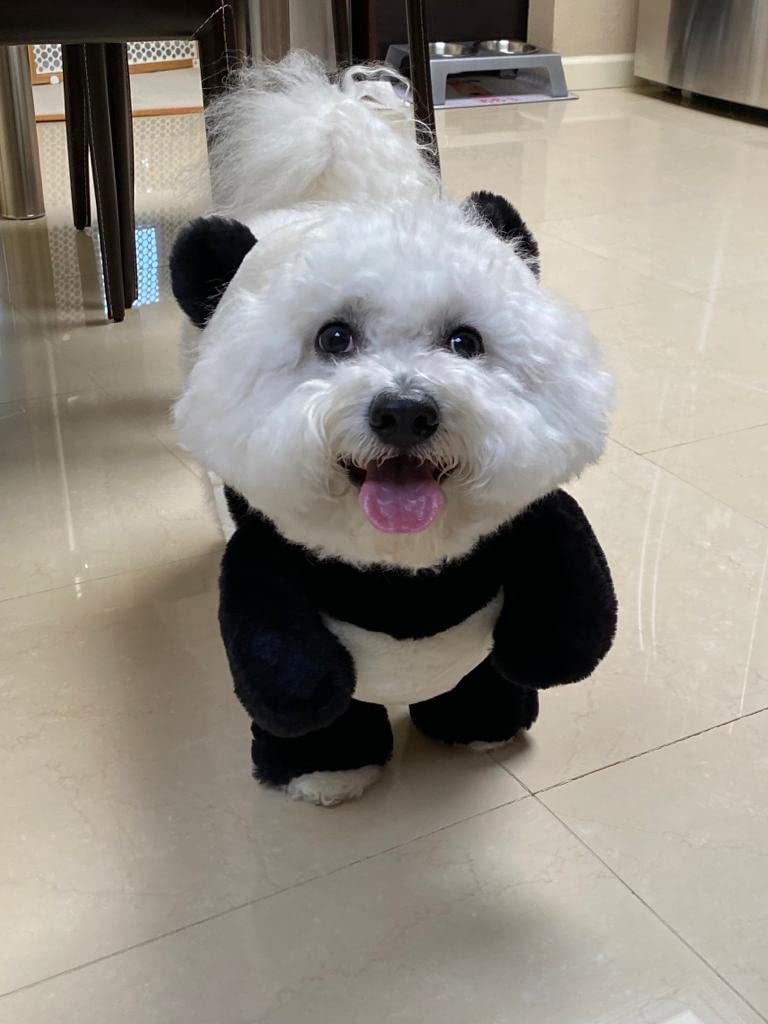 Panda Dog and Pet Costume Set with Adjustable Fit, S–XL