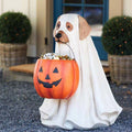 Pumpkin Puppy Resin Garden Decor, Hand-Painted, 18 × 17 × 25 cm
