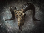 Carved Resin Ram Skull with Removable Horns, 20cm Wide