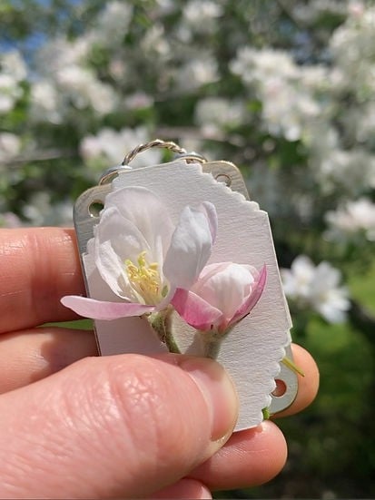 Mini Flower Press, 35 × 50 mm, Silver Sheet and Brass Details