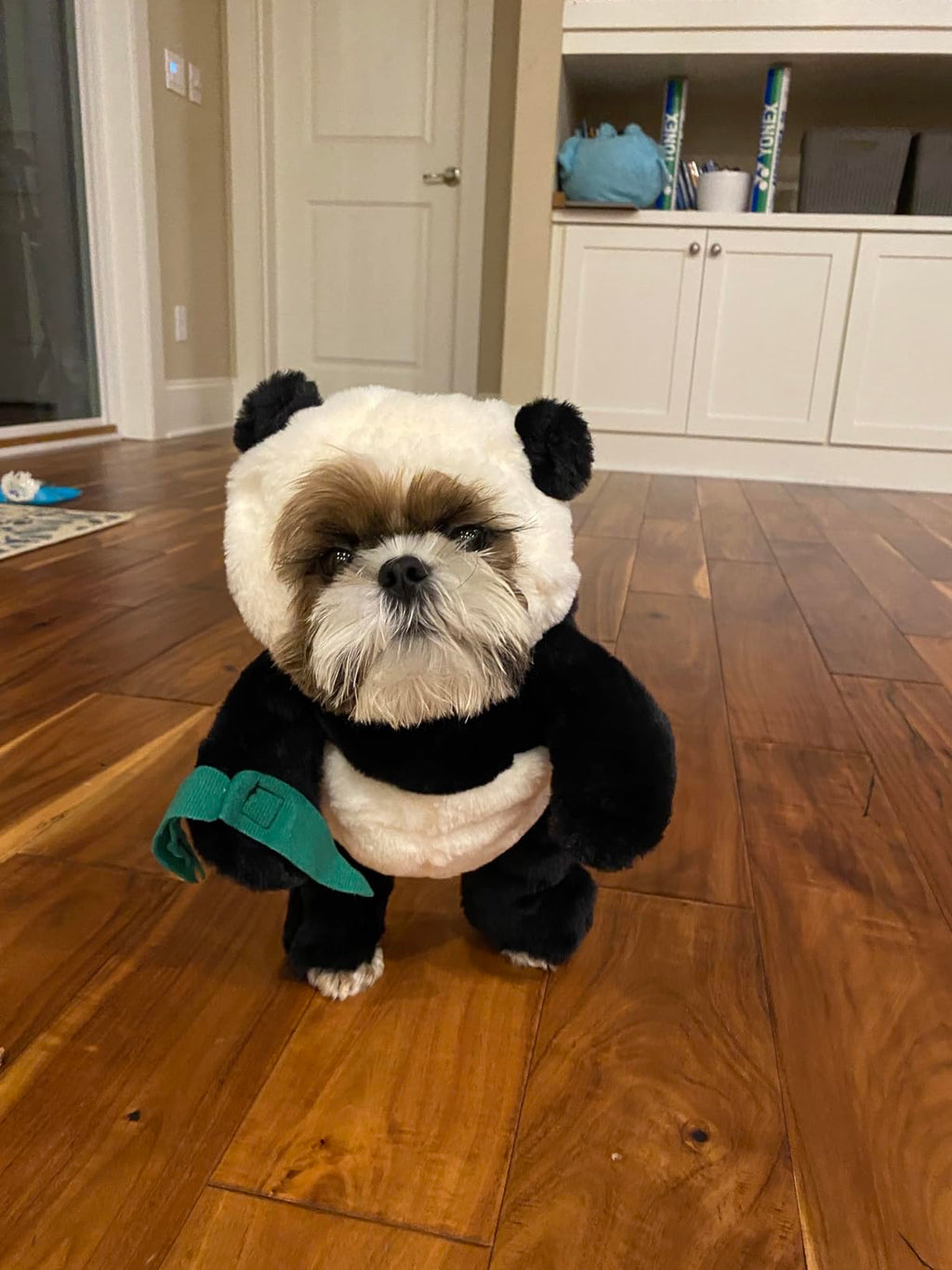 Panda Dog and Pet Costume Set with Adjustable Fit, S–XL