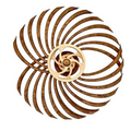 Handmade Wooden Kinetic Sculpture, Spring-Wound Moving Wall Art
