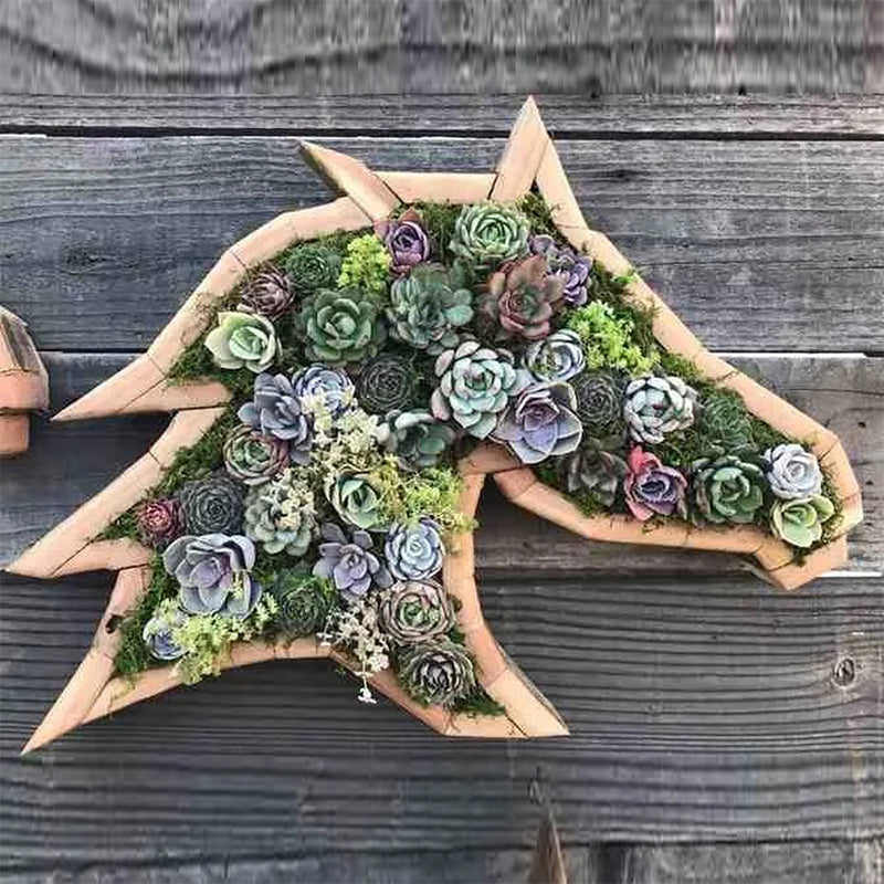 Wooden Animal Succulent Garden Arrangement, 9.8 × 0.7 in