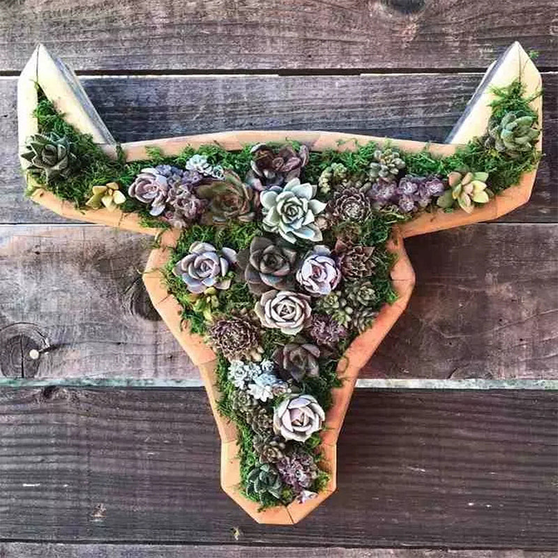 Wooden Animal Succulent Garden Arrangement, 9.8 × 0.7 in