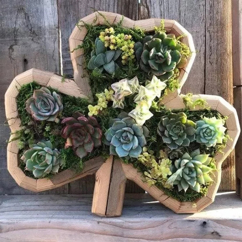 Wooden Animal Succulent Garden Arrangement, 9.8 × 0.7 in