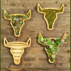 Wooden Animal Succulent Garden Arrangement, 9.8 × 0.7 in