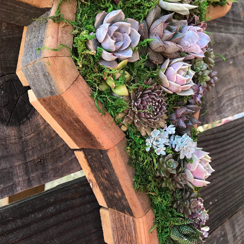 Wooden Animal Succulent Garden Arrangement, 9.8 × 0.7 in