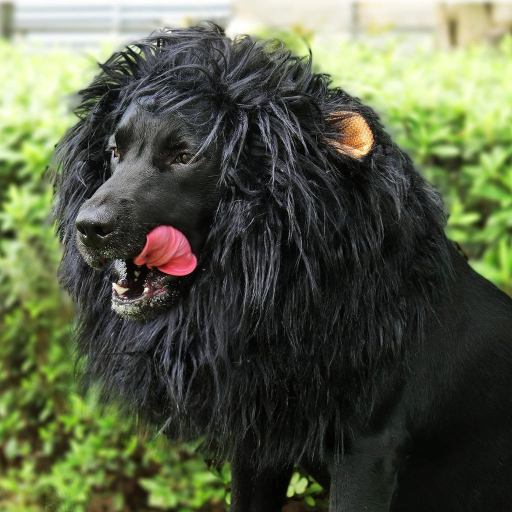 Halloween Dog Lion Mane Wig Costume, Plush, Adjustable 60–80 cm
