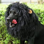 Halloween Dog Lion Mane Wig Costume, Plush, Adjustable 60–80 cm