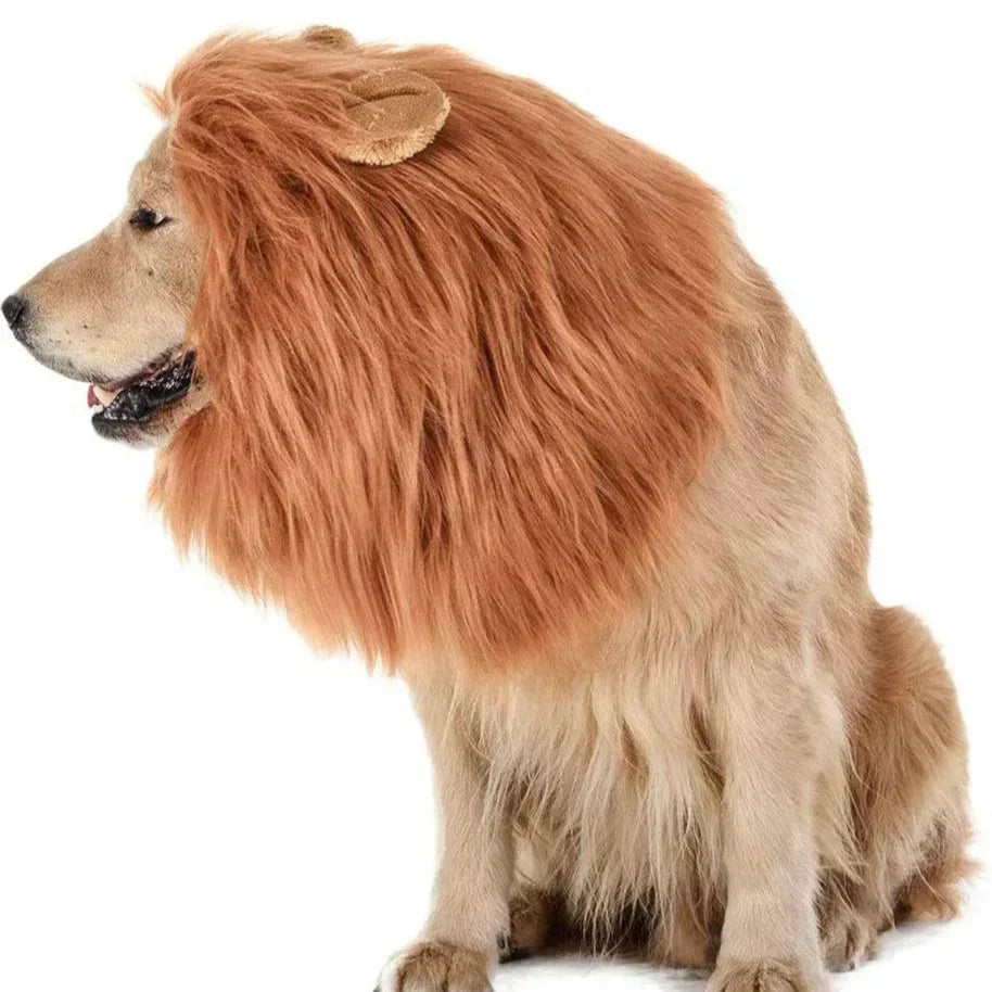 Halloween Dog Lion Mane Wig Costume, Plush, Adjustable 60–80 cm