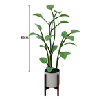 Luminous Bloom LED Plant-Shaped Color-Cycling Lamp, ABS, 110V, 0-5W