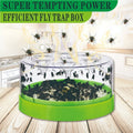Reusable 7-Entrance Fly Trap, Plastic and Metal Mesh, 15.5 × 7.6 cm
