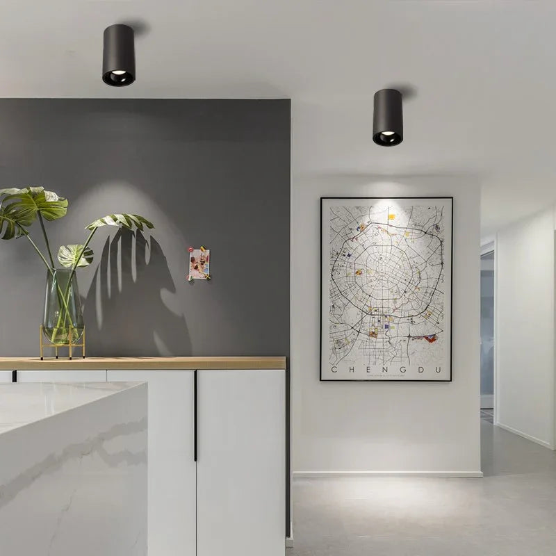 Alderfield Black & White Surface Mounted Downlight