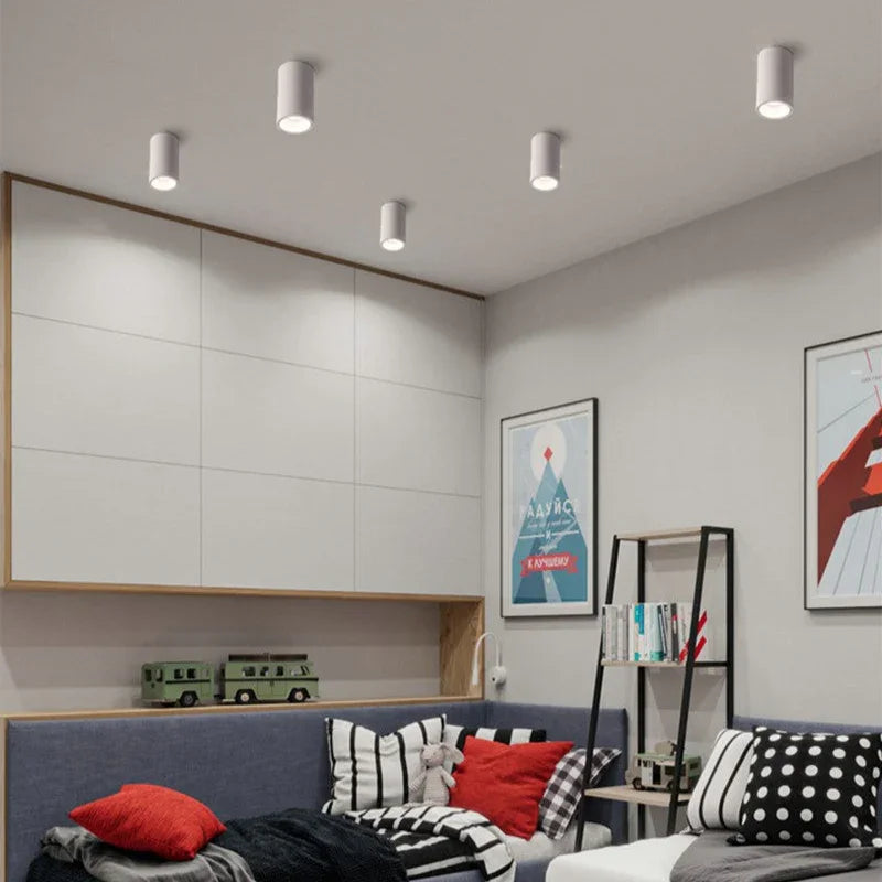 Alderfield Black & White Surface Mounted Downlight