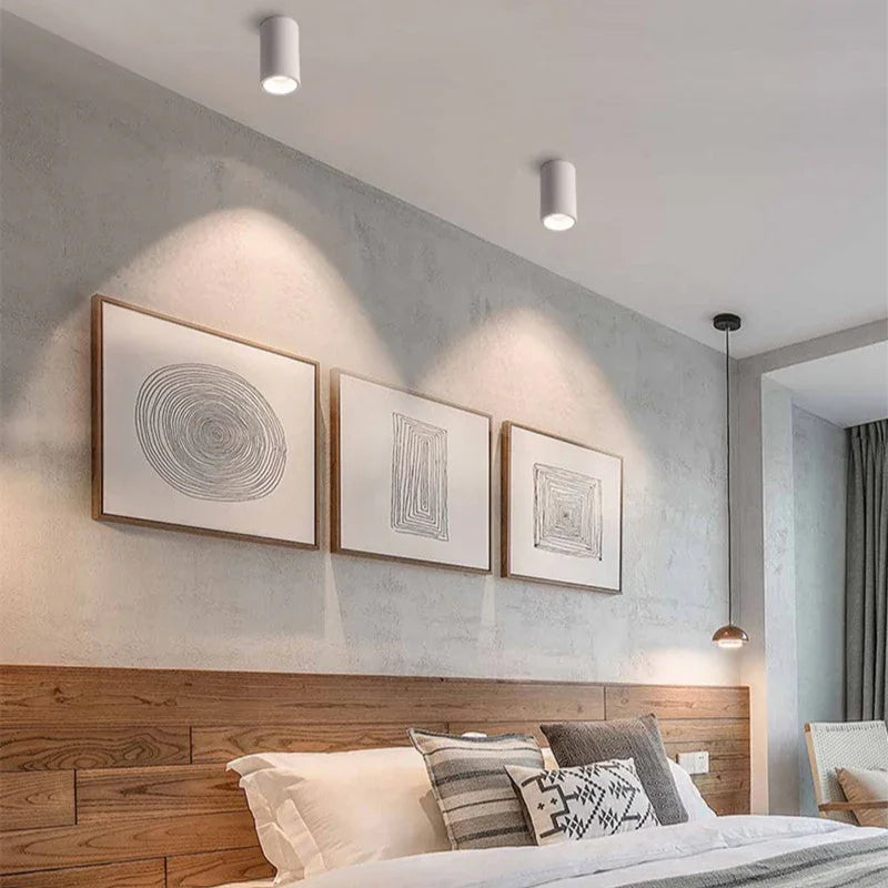 Alderfield Black & White Surface Mounted Downlight
