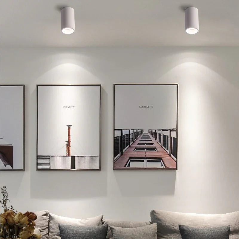 Alderfield Black & White Surface Mounted Downlight