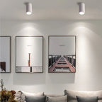 Alderfield Black & White Surface Mounted Downlight