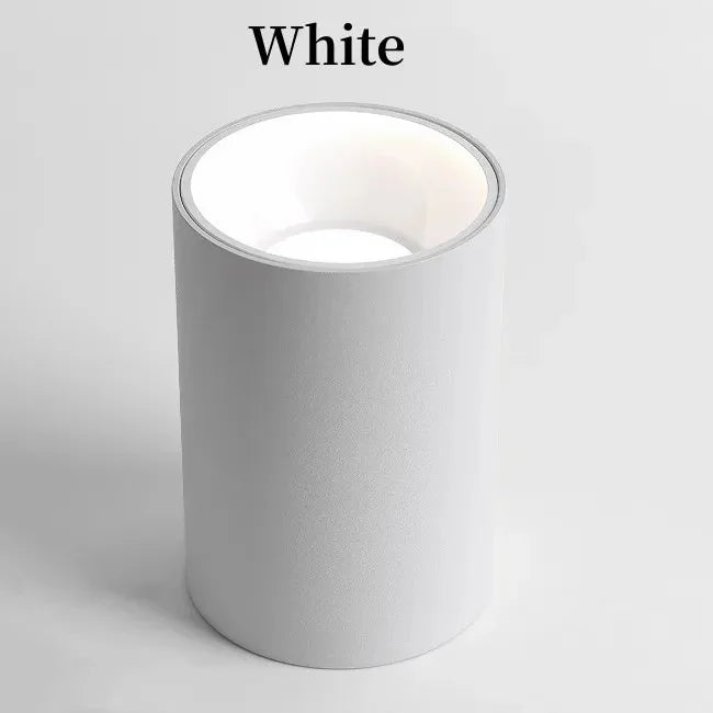 Alderfield Black & White Surface Mounted Downlight