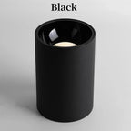 Alderfield Black & White Surface Mounted Downlight