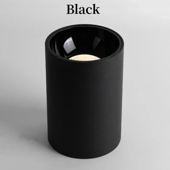 Alderfield Black & White Surface Mounted Downlight