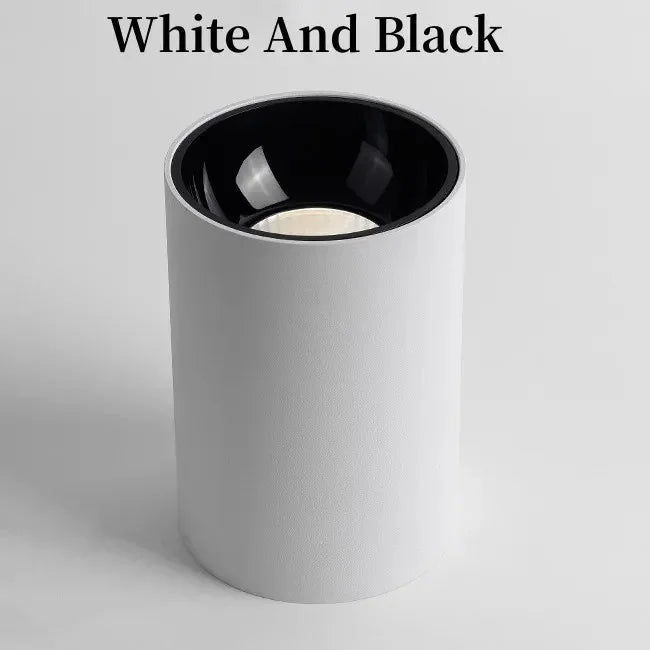 Alderfield Black & White Surface Mounted Downlight