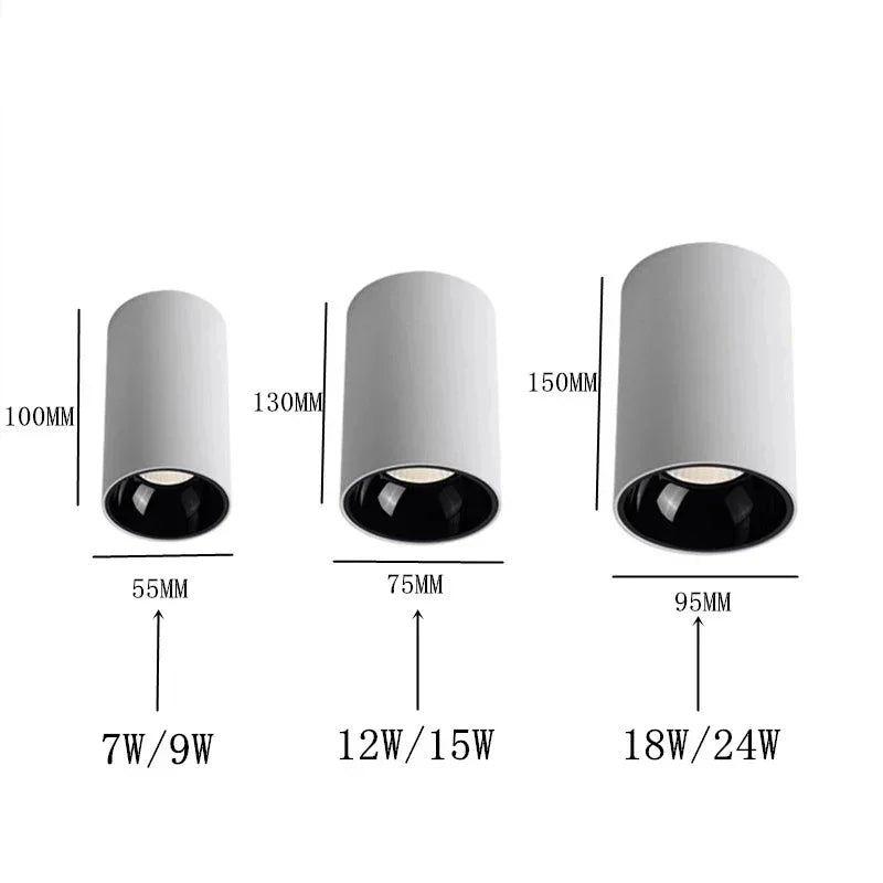 Alderfield Black & White Surface Mounted Downlight