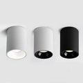 Alderfield Black & White Surface Mounted Downlight