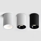 Alderfield Black & White Surface Mounted Downlight