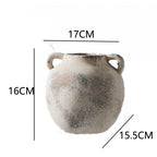 Antique Decoration Jug | Thrascher