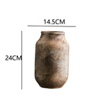 Antique Decoration Jug | Thrascher