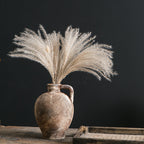 Antique Decoration Jug | Thrascher