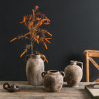 Antique Decoration Jug | Thrascher