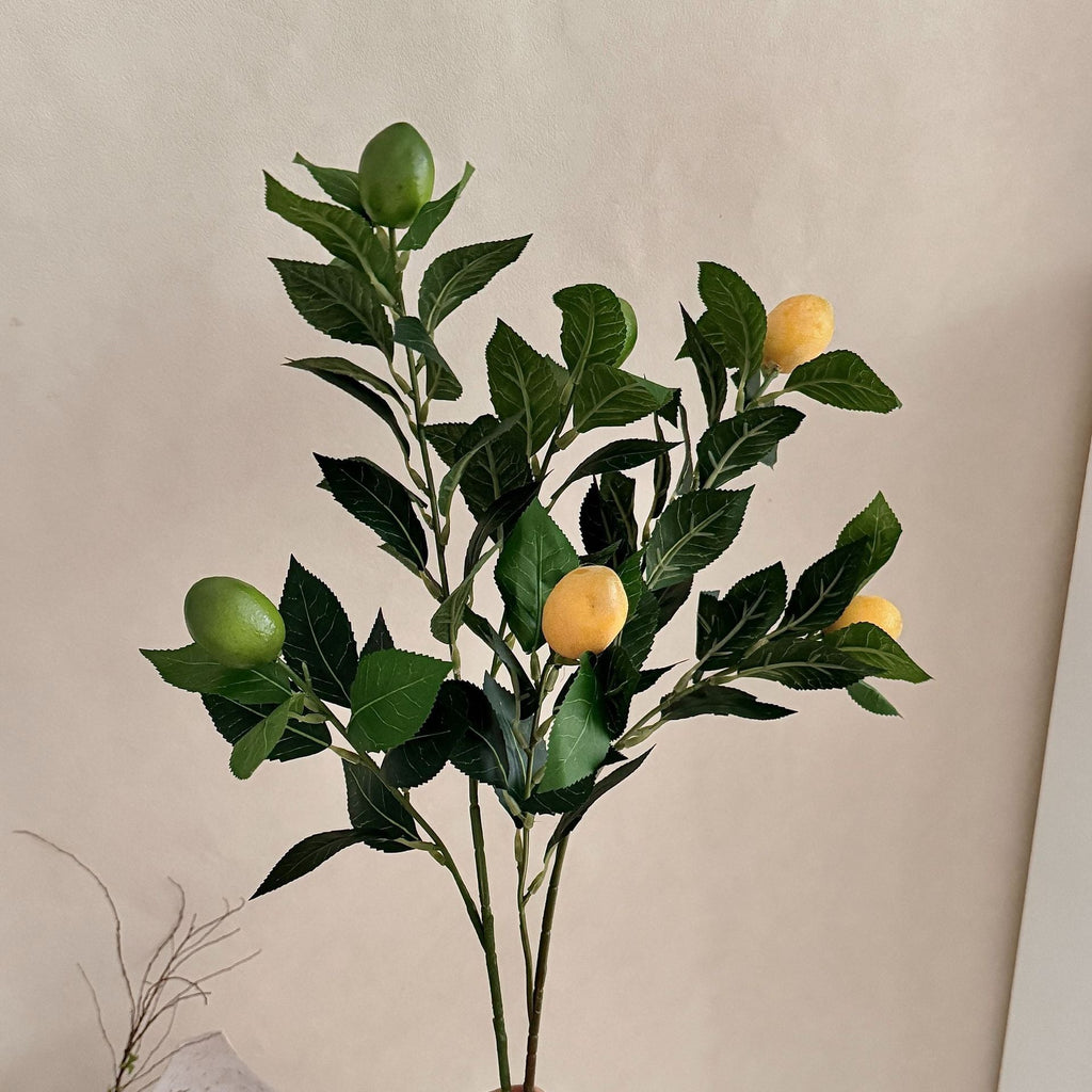 Artificial Lime Branch | Thrascher