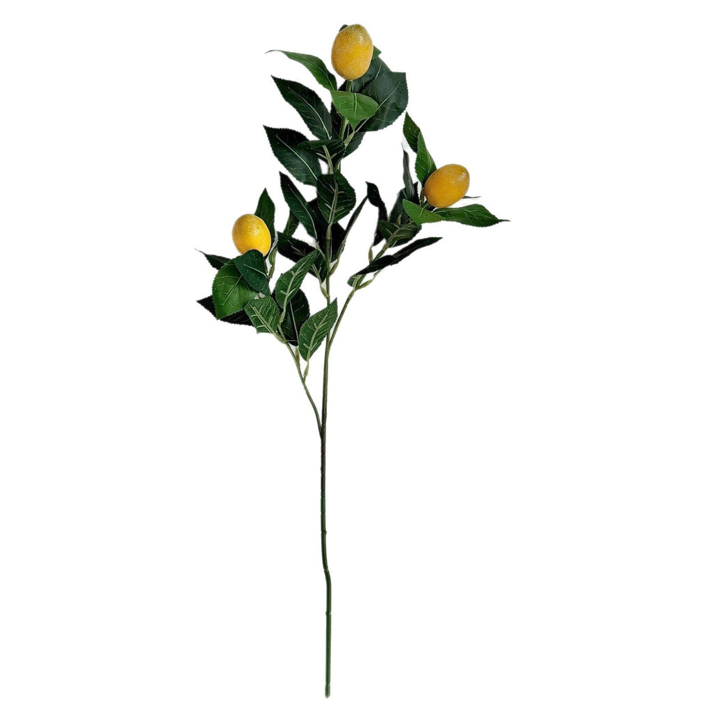 Artificial Lime Branch | Thrascher