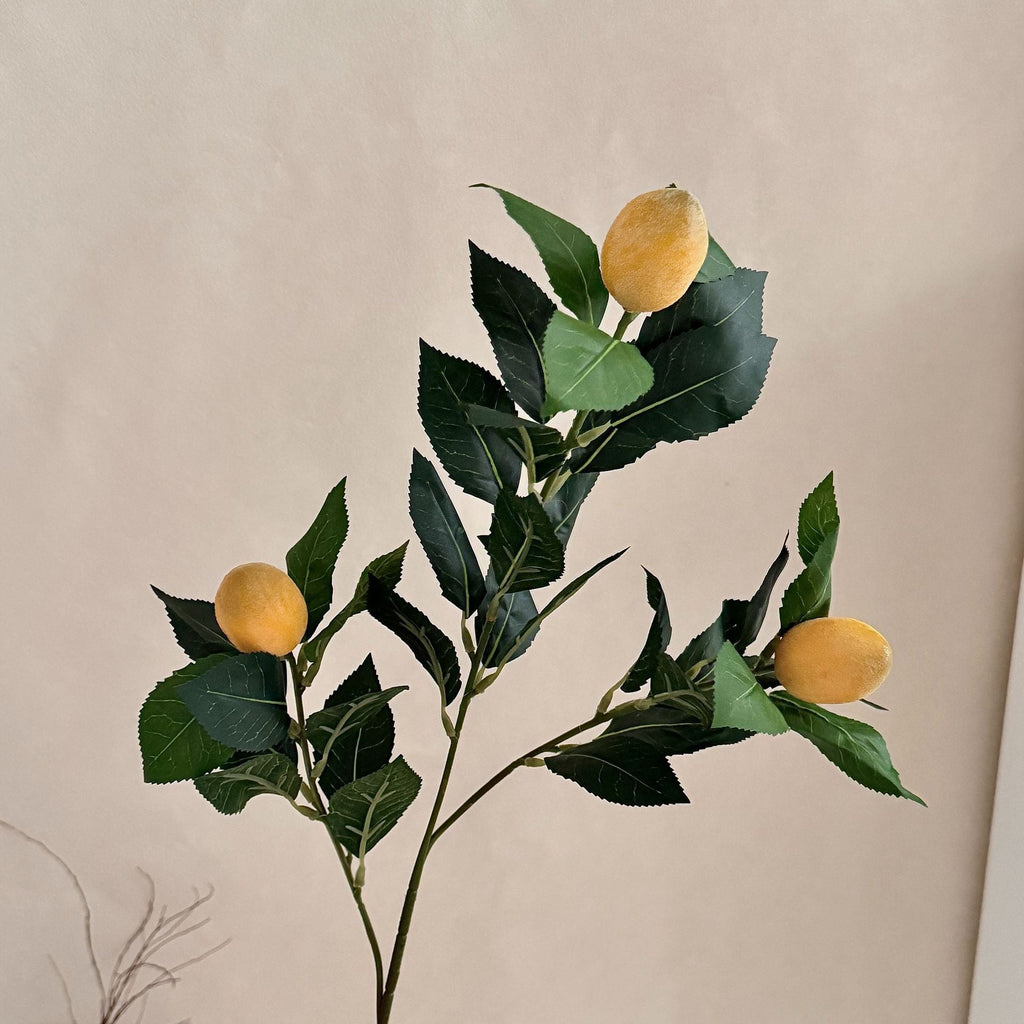 Artificial Lime Branch | Thrascher