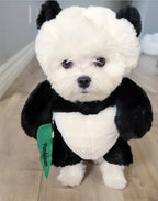 Panda Dog and Pet Costume Set with Adjustable Fit, S–XL