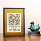 Belmoma Frame Collection