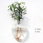 Borosilicate Glass Wall Vase for Flowers and Plants, Wall Mounted, view 3