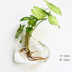 Borosilicate Glass Wall Vase for Flowers and Plants, Wall Mounted, view 5