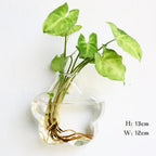 Borosilicate Glass Wall Vase for Flowers and Plants, Wall Mounted, view 6