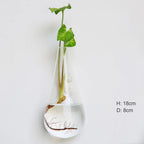 Borosilicate Glass Wall Vase for Flowers and Plants, Wall Mounted, view 7