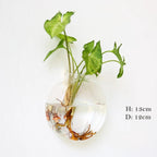 Borosilicate Glass Wall Vase for Flowers and Plants, Wall Mounted, view 8