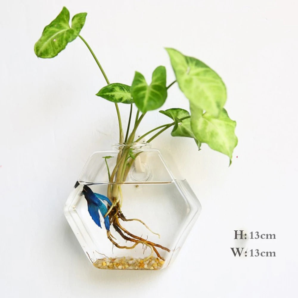 Borosilicate Glass Wall Vase for Flowers and Plants, Wall Mounted