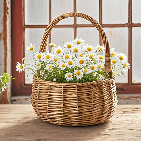 Braided Basket with Practical Handle | Thrascher