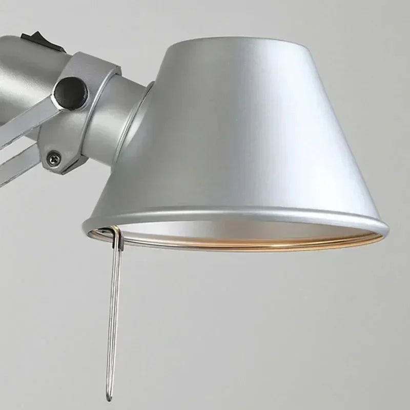 Brynita Adjustable Wall Light