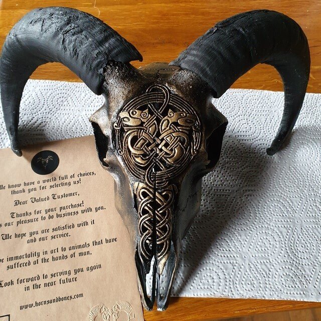 Carved Resin Ram Skull with Removable Horns, 20cm Wide